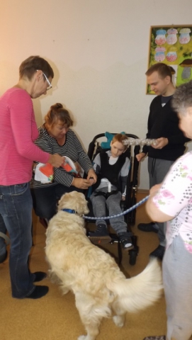dogoterapia paxdziernik 2018