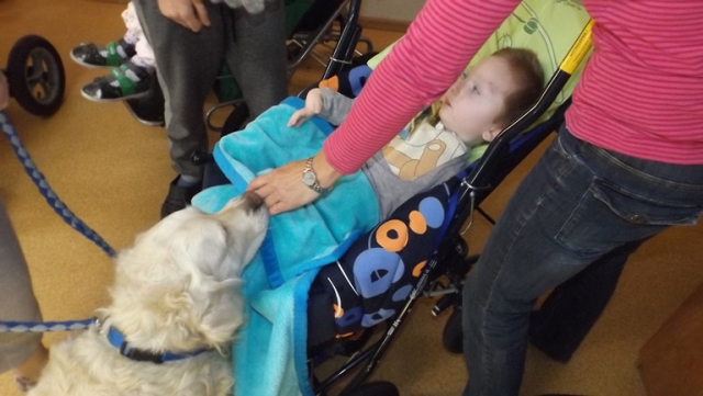 dogoterapia paxdziernik 2018