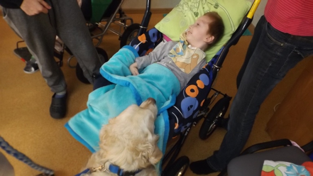 dogoterapia paxdziernik 2018