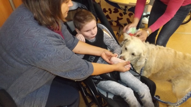 dogoterapia paxdziernik 2018