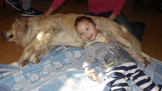 dogoterapia paxdziernik 2018