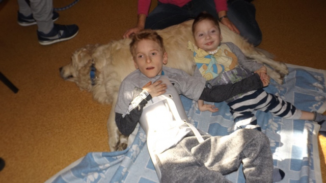 dogoterapia paxdziernik 2018