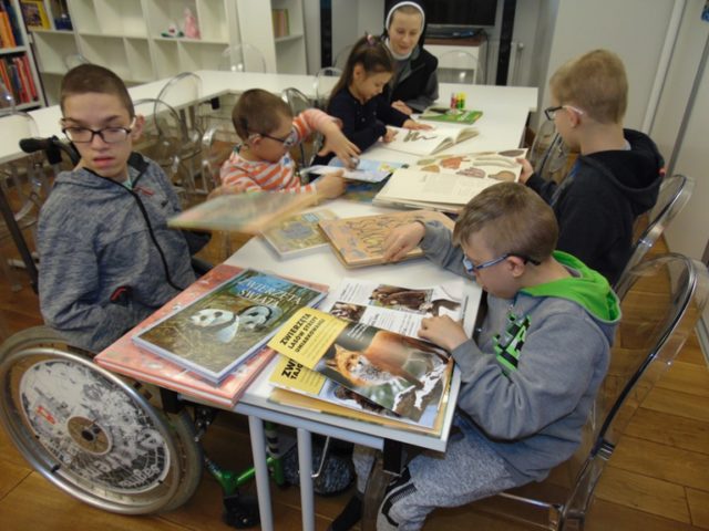 biblioteka ferie II