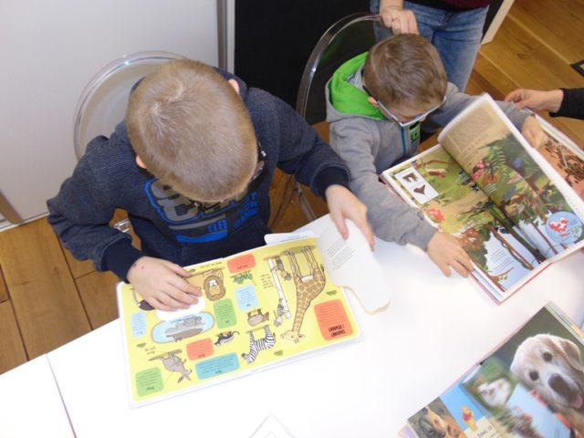 biblioteka ferie II