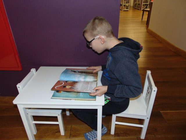 biblioteka ferie II