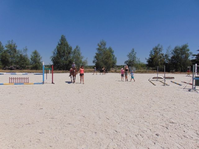 konie 2019 - I