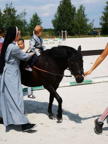 konie IV-2019