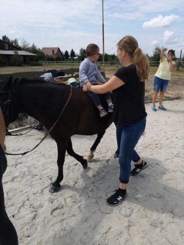 konie IV-2019