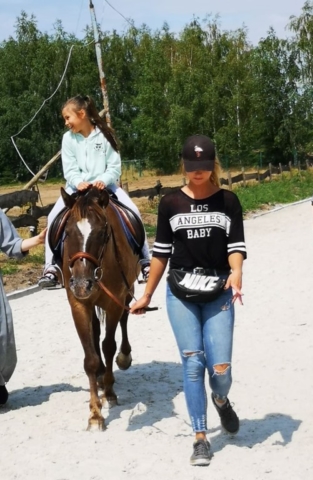 konie IV-2019