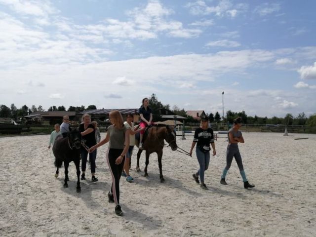 konie IV-2019