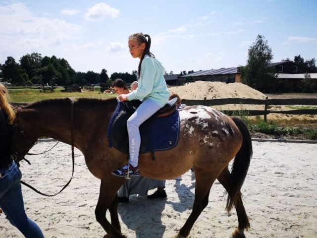 konie IV-2019
