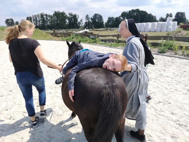 konie IV-2019