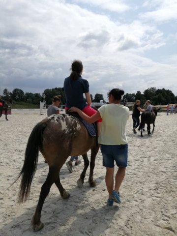 konie IV-2019
