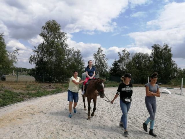 konie IV-2019