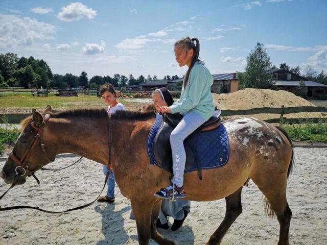 konie IV-2019