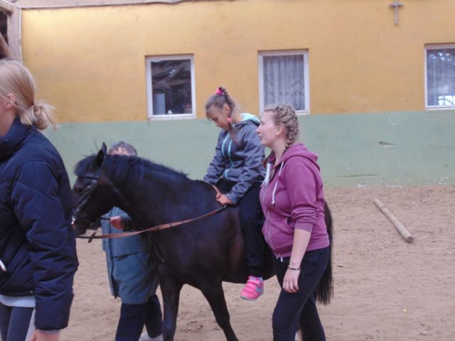DSC02931