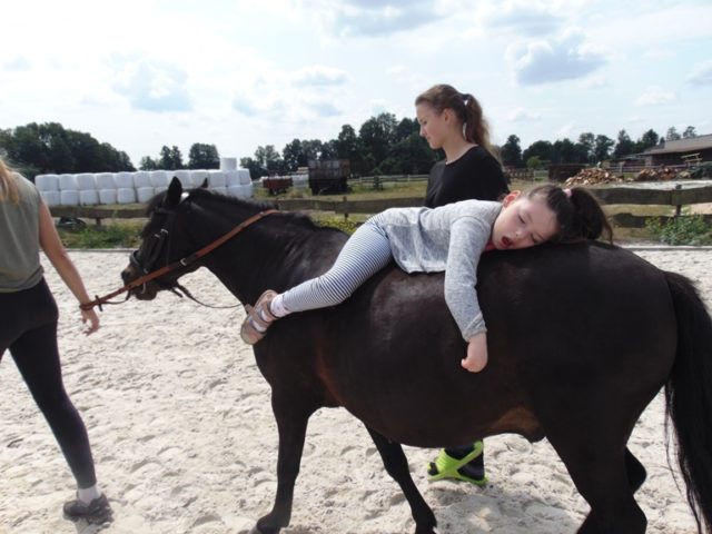 konie IV-2019