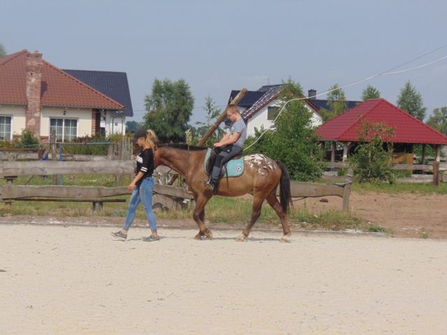 DSC03893