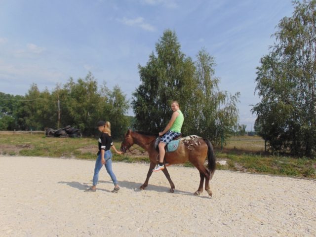 DSC03905