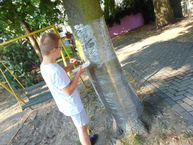 warsztaty plastyczne 2019 - II