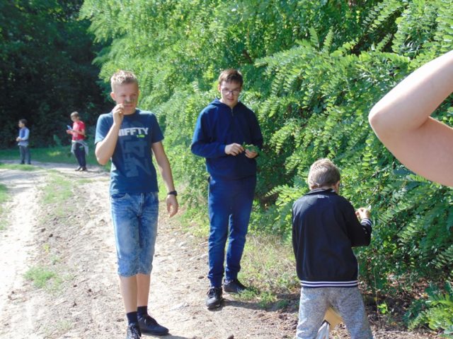 podchody 2019