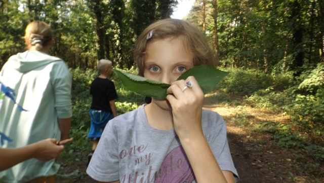 podchody 2019
