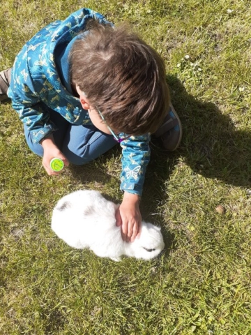 maj 2020