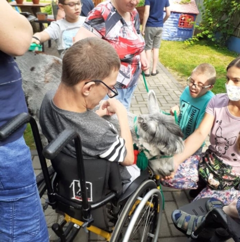alpaki 2021 - I