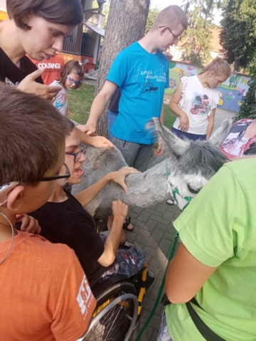 216740692_1123955124755690_3889184643281304987_n Alpaki - 2021- III