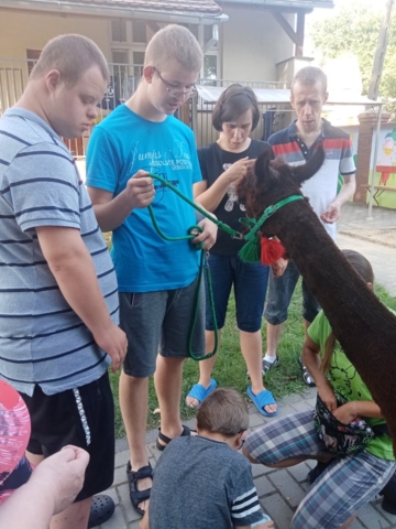 216948688_505967450512652_5176274631870636347_n Alpaki - 2021- III