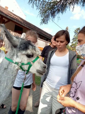 Alpaki 2021 - IV