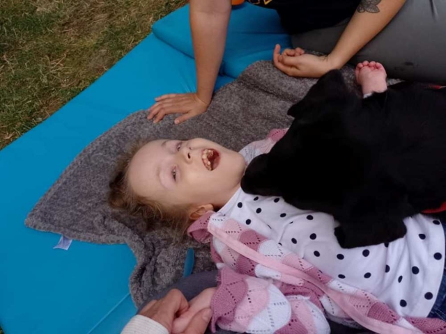 dogoterapia 2022