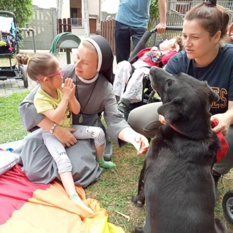 dogoterapia 2022