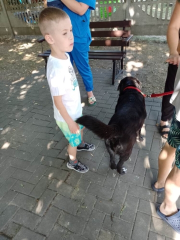 dogoterapia 2022