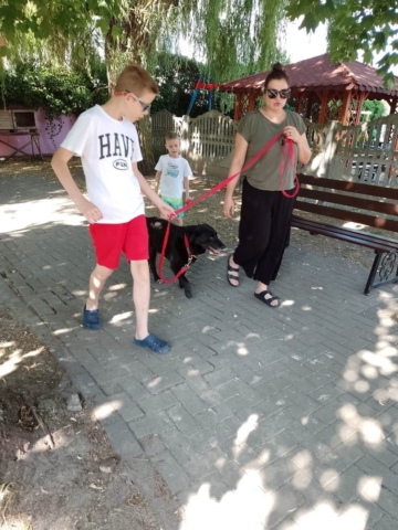dogoterapia 2022
