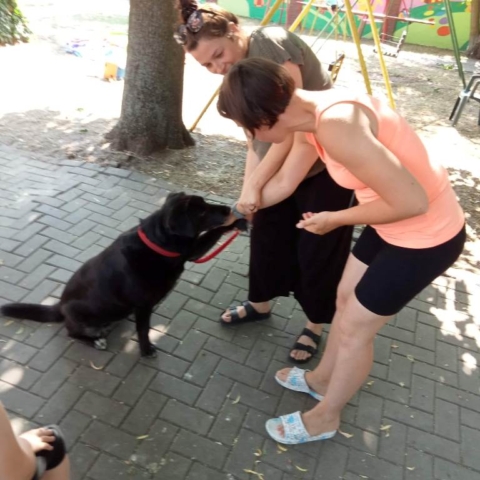 dogoterapia 2022