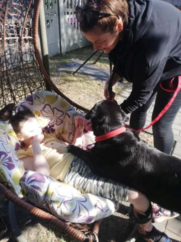 dogoterapia 2022