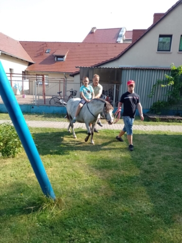 konie 2023 - projekt