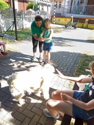 dogoterapia 2023 - projekt