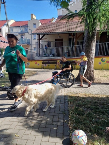 dogoterapia 2023 - projekt