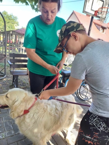 dogoterapia 2023 - projekt