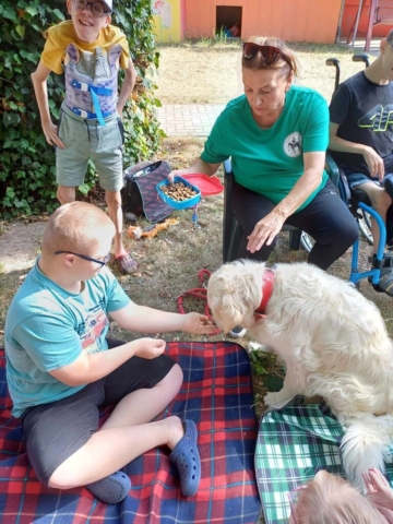 dogoterapia 2023 - projekt