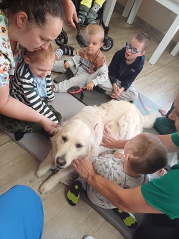 dogoterapia 2023 - projekt