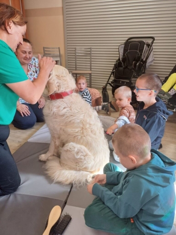 dogoterapia 2023 - projekt