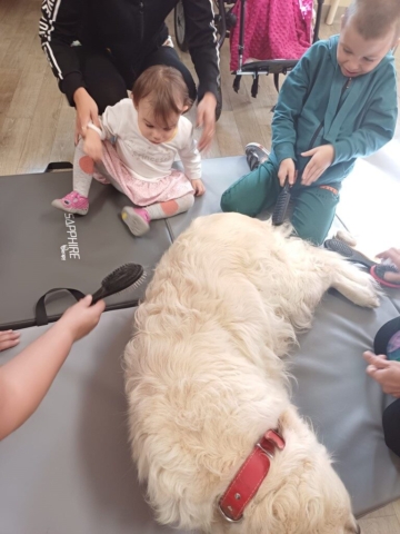 dogoterapia 2023 - projekt