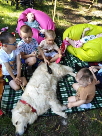 dogoterapia 2023 - projekt