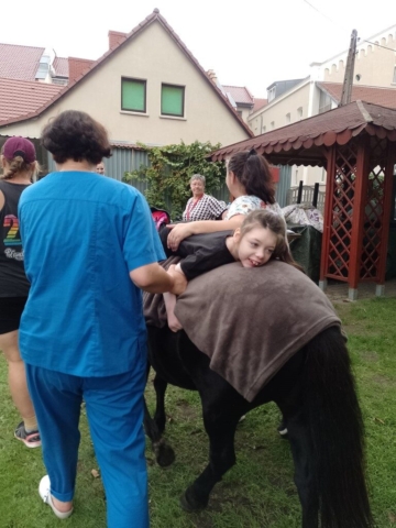 konie 2023 - projekt