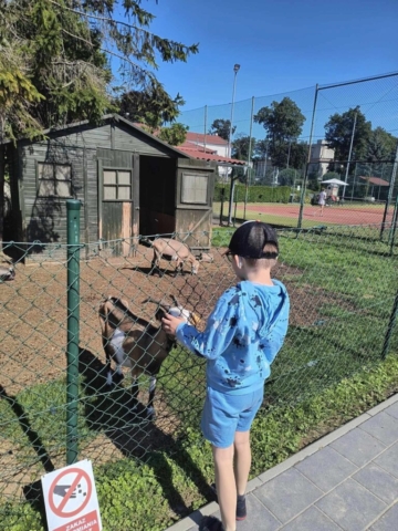 MINI ZOO 2024