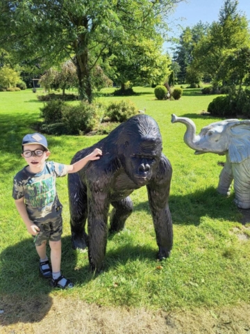 MINI ZOO 2024
