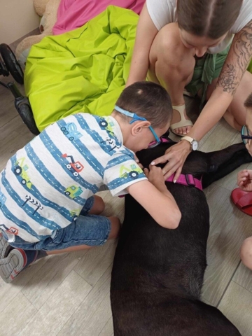dogoterapia 2024